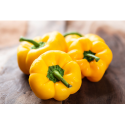 Destockage POIVRON JAUNE CLOVIS GGA BORRACCIA - cash-alimentaire.com