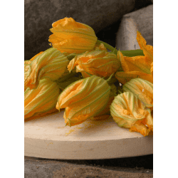 Destockage FLEUR DE COURGETTE CASE - cash-alimentaire.com
