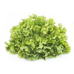 Destockage FEUILLE DE CHENE BLONDE CASE - cash-alimentaire.com
