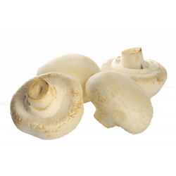 Destockage CHAMPIGNON DE PARIS GEANT VIALADE - cash-alimentaire.com
