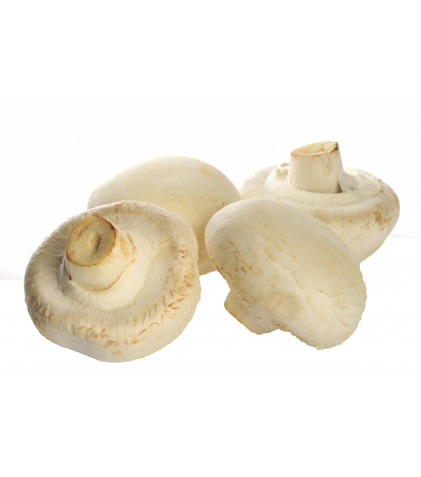 Destockage CHAMPIGNON DE PARIS GEANT VIALADE - cash-alimentaire.com
