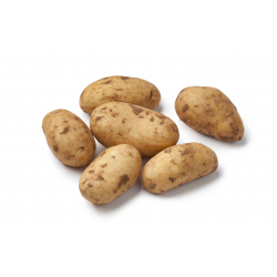 Destockage POMME DE TERRE SPUNTA NON LAVEE ORTOLANO - cash-alimentaire.com
