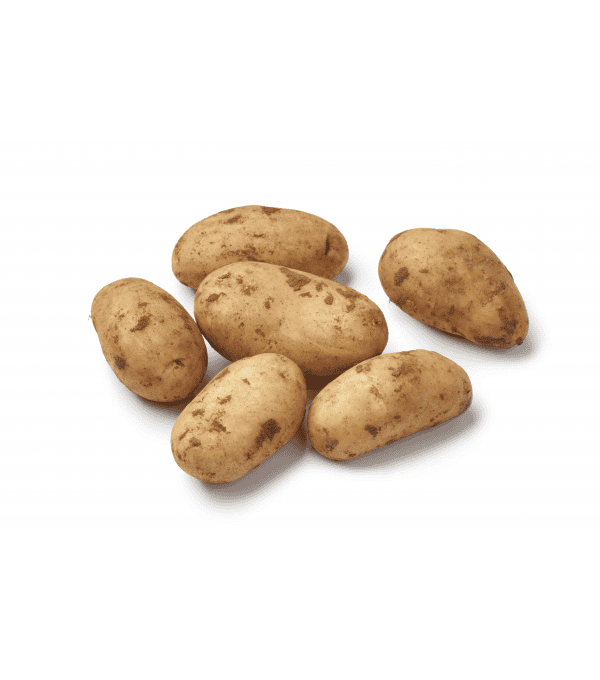 Destockage POMME DE TERRE SPUNTA NON LAVEE ORTOLANO - cash-alimentaire.com
