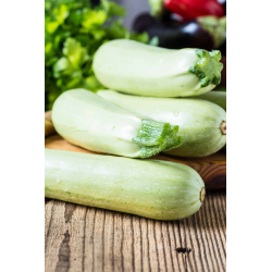 Destockage COURGETTE BLANCHE CASE - cash-alimentaire.com
