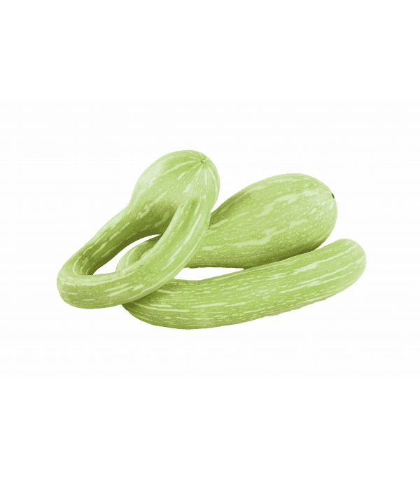 Destockage COURGETTE TROMPETTE CASE - cash-alimentaire.com