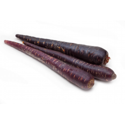 Destockage CAROTTE VIOLETTE LA LEGUMIERE - cash-alimentaire.com
