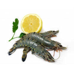 CREVETTE ENTIERE CRUE ORC - prix grossiste - cash-alimentaire.com
