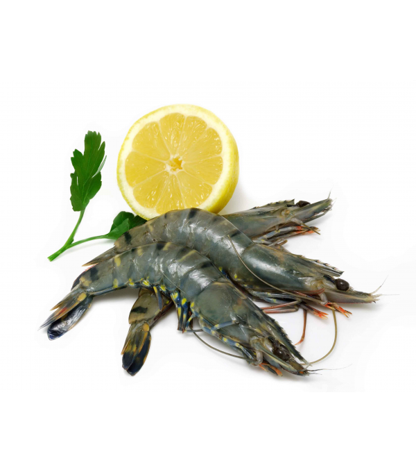 CREVETTE ENTIERE CRUE ORC - prix grossiste - cash-alimentaire.com
