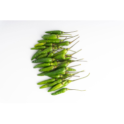 Destockage PIMENT PADRONE SIMPLE - cash-alimentaire.com