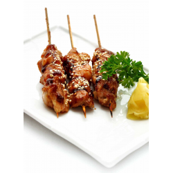 BROCHETTE POULET YAKITORI ASIAN BREAK - prix grossiste - cash-alimentaire.com
