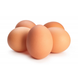 OEUF GROS 63/73 CARTON AU COURS - prix grossiste - cash-alimentaire.com
