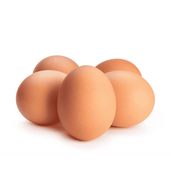 OEUF GROS 63/73GR FRANCAIS X 90 U LE CT OEUF GROS 63/73GR FRANCAIS X 90 U LE CT