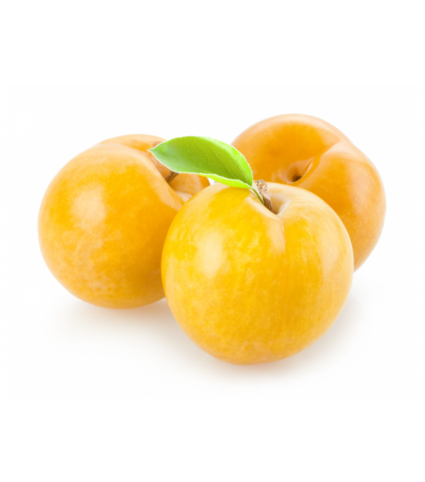 Destockage PRUNE MIRABELLE BOYER - cash-alimentaire.com