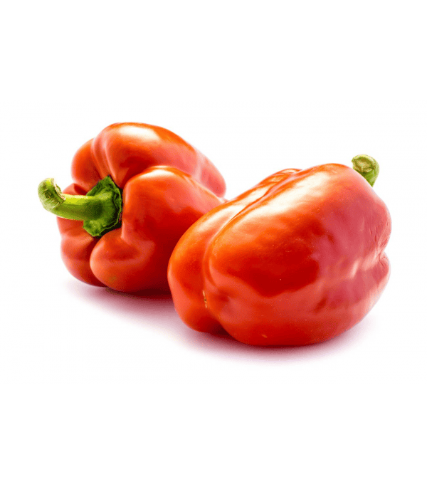 POIVRON ROUGE CLOVIS ESPAGNE KG (+-240GR) POIVRON ROUGE CLOVIS ESPAGNE KG (+-240GR)