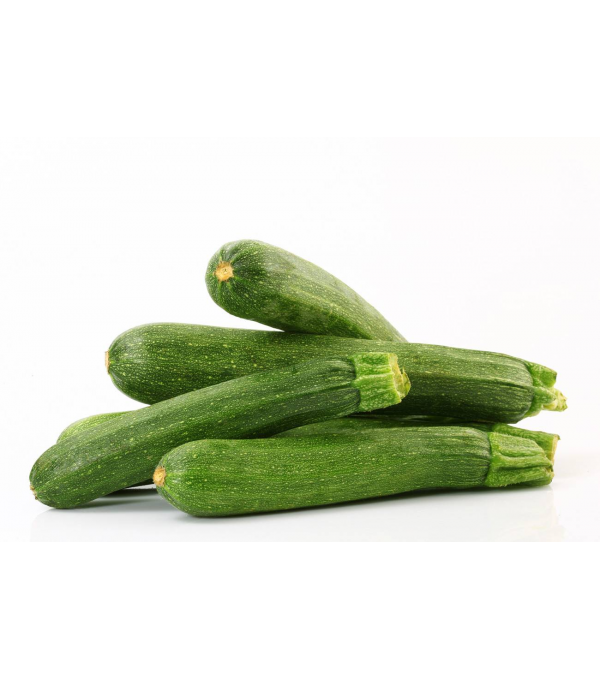 Destockage COURGETTE VERTE FERNA - cash-alimentaire.com
