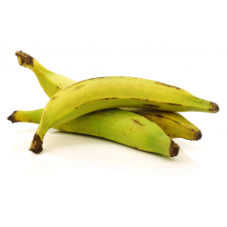 Destockage BANANE PLANTAIN BONITA - cash-alimentaire.com
