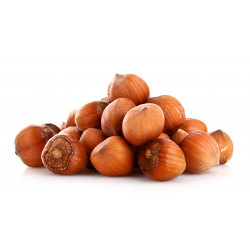 NOISETTE COQUE EXIDA produits de gros - cash-alimentaire.com
