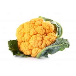 Destockage CHOU FLEUR ORANGE PRINCE BRETAGNE - cash-alimentaire.com
