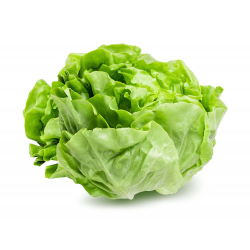 Achat en ligne LAITUE PLEINE TERRE CASE - cash-alimentaire.com
