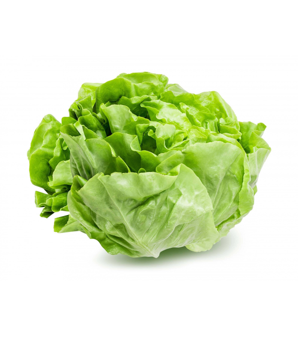 Achat en ligne LAITUE PLEINE TERRE CASE - cash-alimentaire.com
