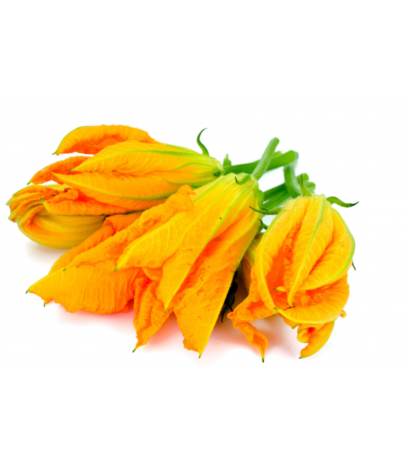 Fournisseur alimentaire de FLEURS DE COURGETTES MAGLIOZZI - cash-alimentaire.com

