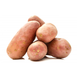 Fournisseur alimentaire de POMME DE TERRE LINE PRODUITS PALAIS - cash-alimentaire.com
