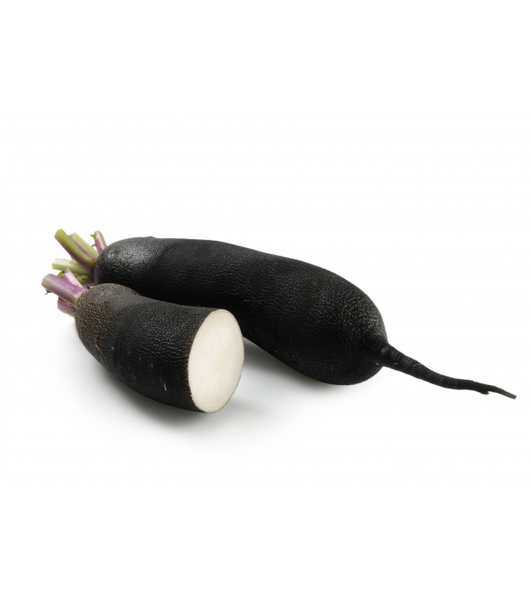 Vente en gros RADIS NOIR CASE - cash-alimentaire.com
