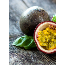 Destockage FRUIT PASSION PHILIBON - cash-alimentaire.com
