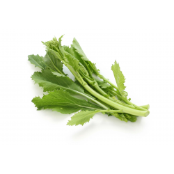 Vente en gros CIMA DI RAPA ORTOFRUTTA - cash-alimentaire.com
