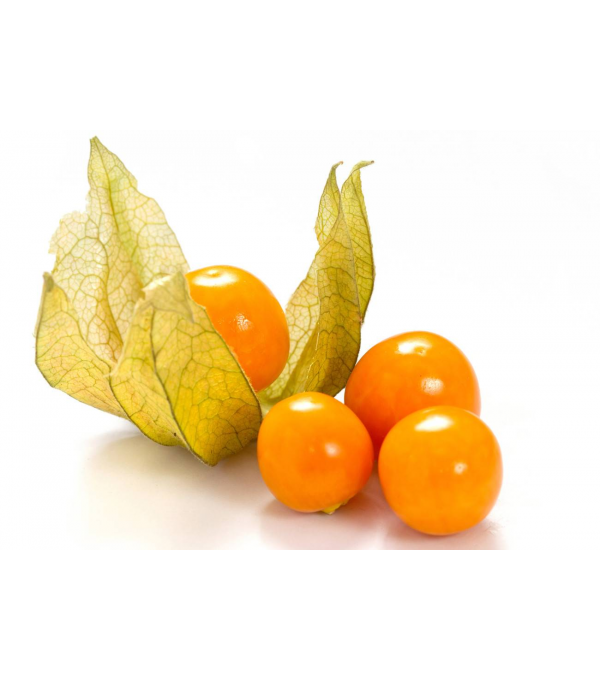 Destockage PHYSALIS LIGHT FRUITS - cash-alimentaire.com
