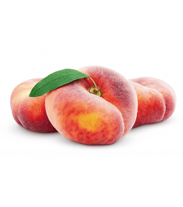 Achat en ligne de PECHE PLATE CASE - cash-alimentaire.com