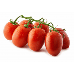 Distributeur alimentaire de TOMATE DATTERINO GRAPPE ARCIMBOLDO - cash-alimentaire.com
