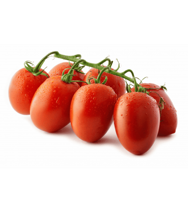 Distributeur alimentaire de TOMATE DATTERINO GRAPPE ARCIMBOLDO - cash-alimentaire.com
