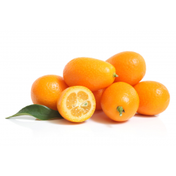 Achat en gros KUMQUAT SAFTA - cash-alimentaire.com
