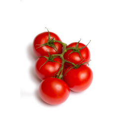 Destockage TOMATE COCKTAIL GRAPPE CASE - cash-alimentaire.com
