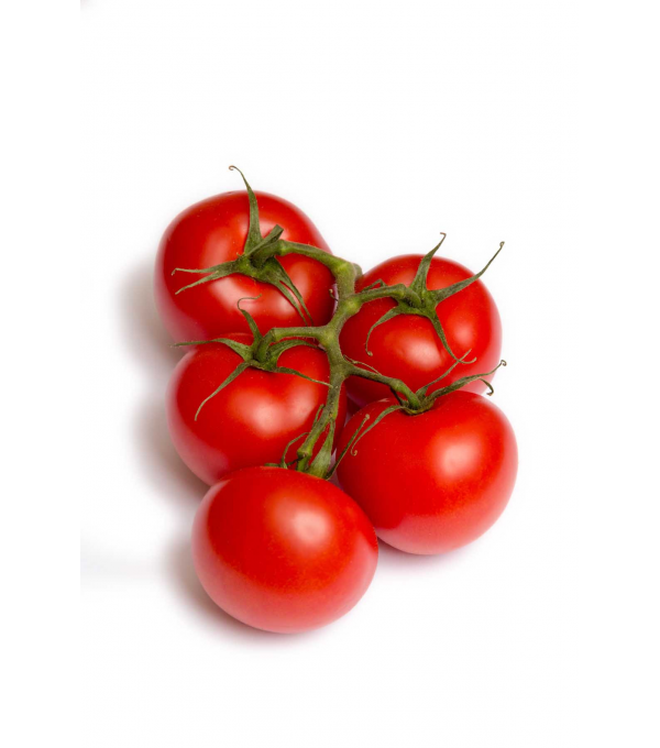 Destockage TOMATE COCKTAIL GRAPPE CASE - cash-alimentaire.com