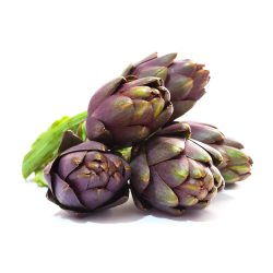 Achat en gros ARTICHAUT VIOLET PRINCE BRETAGNE - cash-alimentaire.com