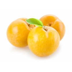 PRUNE DOREE REINE CLAUDE CASE produits de gros - cash-alimentaire.com