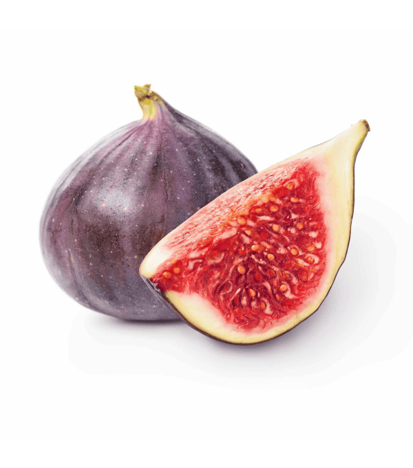 Destockage FIGUE NOIRE CASE - cash-alimentaire.com