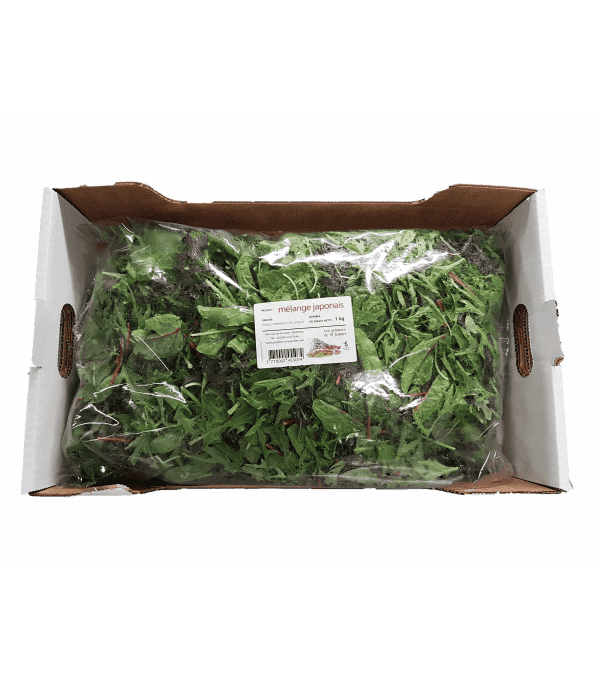 JAPONAIS MELANGE FRANCE CARTON 1 KG JAPONAIS MELANGE FRANCE CARTON 1 KG