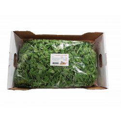 Destockage ROQUETTE SAUVAGE CARTON PRIMEURS ST JEANNET - cash-alimentaire.com
