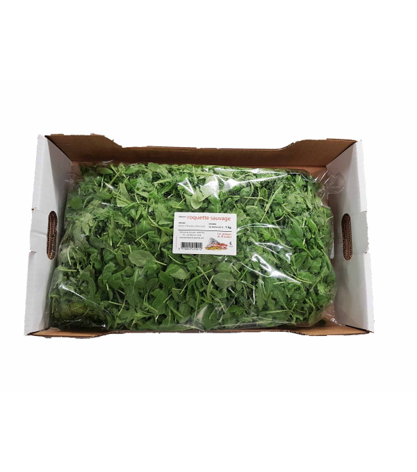 Destockage ROQUETTE SAUVAGE CARTON PRIMEURS ST JEANNET - cash-alimentaire.com
