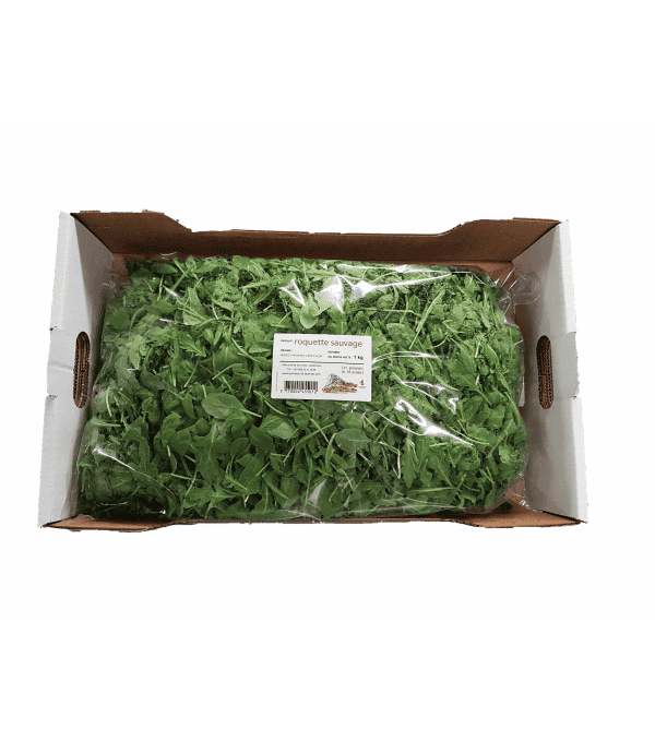 ROQUETTE SAUVAGE ITALIE CARTON 1KG ROQUETTE SAUVAGE ITALIE CARTON 1KG