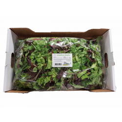 Destockage MESCLUN NICOIS PRIMEURS ST JEANNET - cash-alimentaire.com
