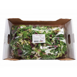 Destockage MIX CROQUANT SACHET PRIMEURS ST JEANNET - cash-alimentaire.com
