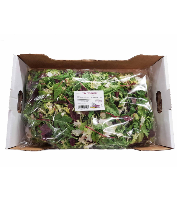 MIX CROQUANT FRANCE CARTON 1KG MIX CROQUANT FRANCE CARTON 1KG