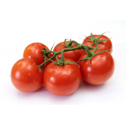 TOMATE RONDE APPECAL TOMABEL produits de gros - cash-alimentaire.com
