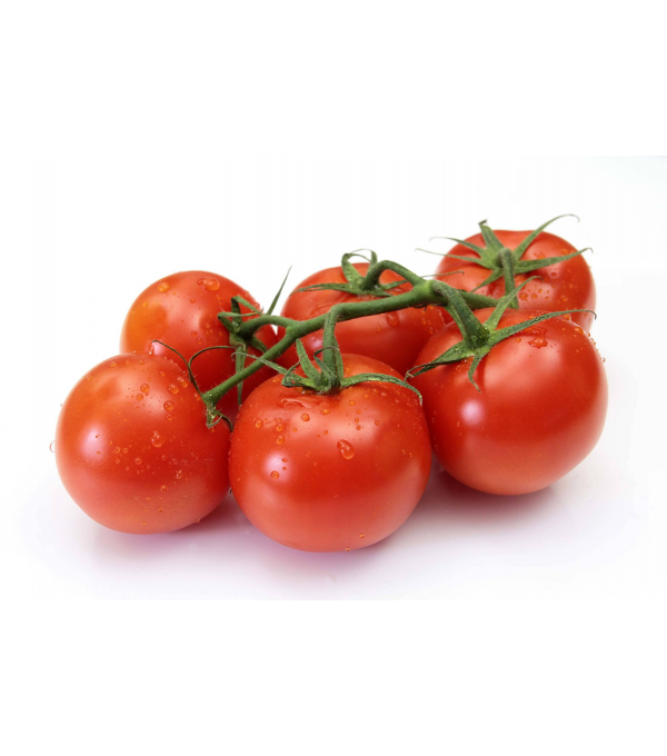 TOMATE RONDE APPECAL TOMABEL produits de gros - cash-alimentaire.com
