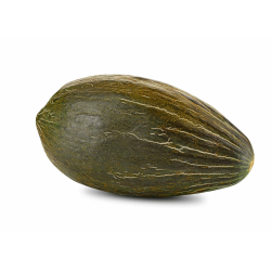 Destockage MELON VERT PIEL DE SAPO BOLLO - cash-alimentaire.com