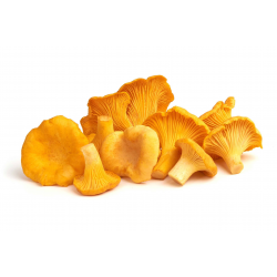 Vente en gros CHANTERELLE JAUNE VIALADE - cash-alimentaire.com
